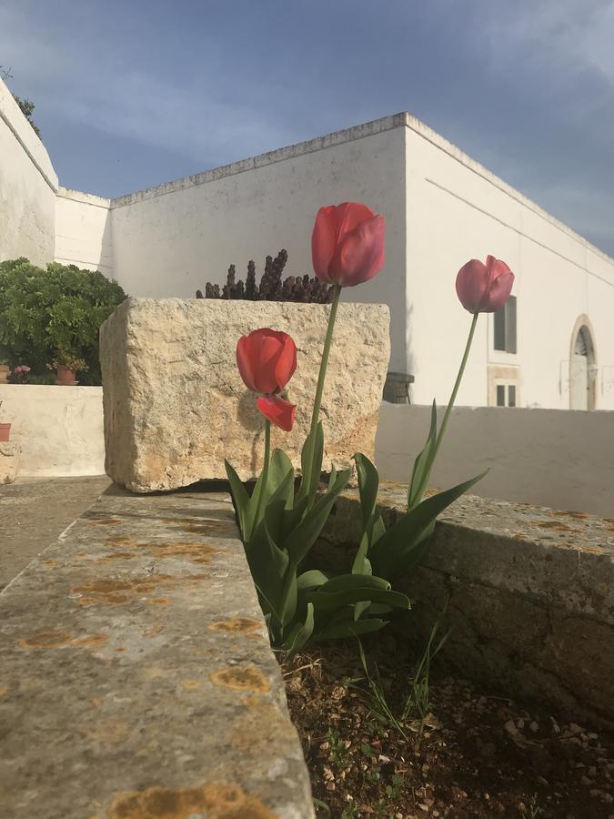Masseria Rienzo Ostuni Exterior photo
